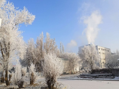 循環冷卻水系統中沉積物類型(下) 循環冷卻水系統中沉積物類型(下)